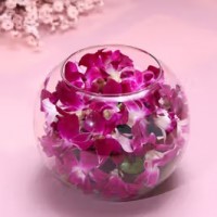 Orchid In Bowl Vase