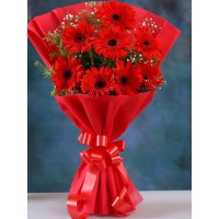 Red Gerbera Bouquet 
