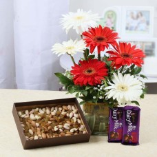 Gerberas Vase and Mix Dry Fruits with Dairy Milk Chocolates