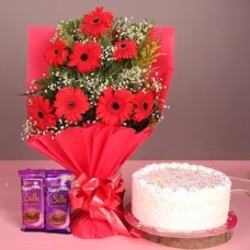 Gerbera With Teddy Cake