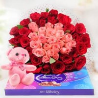 Pink & Red Roses With Teddy N Celebrations