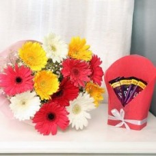 Gerberas Bunch With Dairy Milk Chocolate