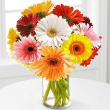 Mix Gerberas With Vase