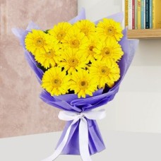 Yellow Gerbera