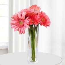 Pink Gerbera In Vase