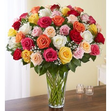 Mix Roses With Vas