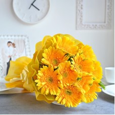 Yellow Gerbera