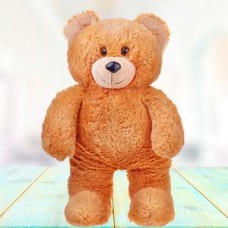 3 Fit Teddy Bear