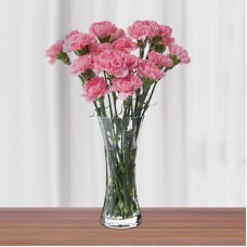 Pink Carnations