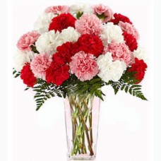 Mix Carnation In Vase