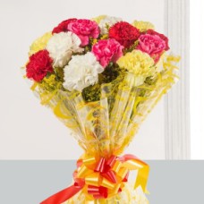 Mix Carnations