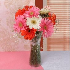 Mix Gerbera In vase