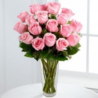 Pink Roses In Vase