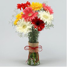  Mix Color Gerbera In Vase