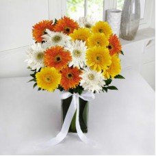 Mix Gerbera In Vase