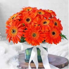 Orang Gerbera In Vase