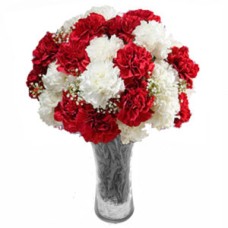 Red & White Carnations