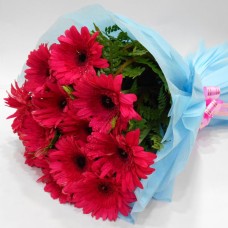 Pink Gerbera Bunch