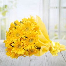 Yellow Gerbera