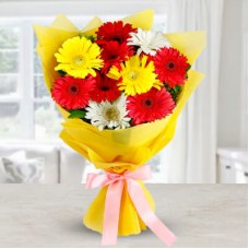 10 Mix Gerbera Bunch