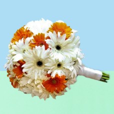 White & Orang Gerbera