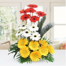 Mix Gerbera In Basket