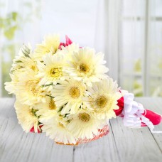 White Gerbera Bunch