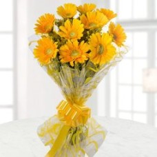 Yellow Gerbera Bunch