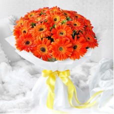 Orang Gerbera Bunch