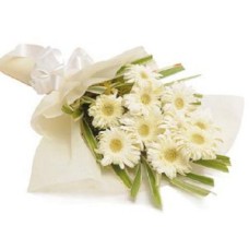 White Gerbera Bunch