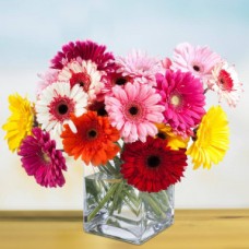 Mix Gerbera In Glass Vase