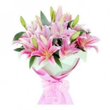 Pink Asiatic Lilies