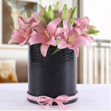 Pink Asiatic Lilies With Box 