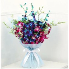 Blue & Purple Orchid Bunch