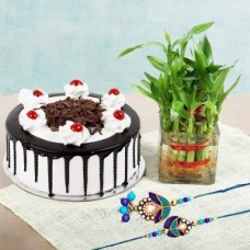 Cake N Lucky Bamboo With Rakhi 