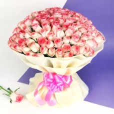 Pink Roses Bunch