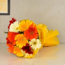 Mix Gerbera Bunch