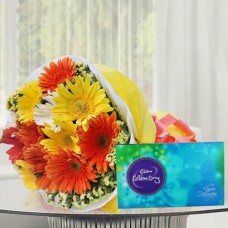 Gerbera With Celebrations