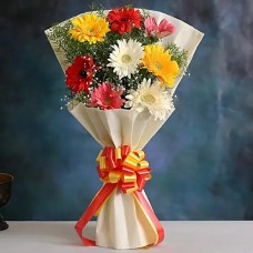 Mixed Gerbera Bunch