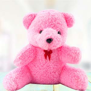 1 Feet Pink Teddy