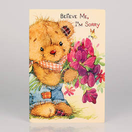 Apology Greeting Card